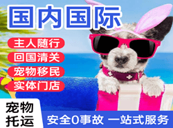 大水泊机场货运国际宠物托运 【国